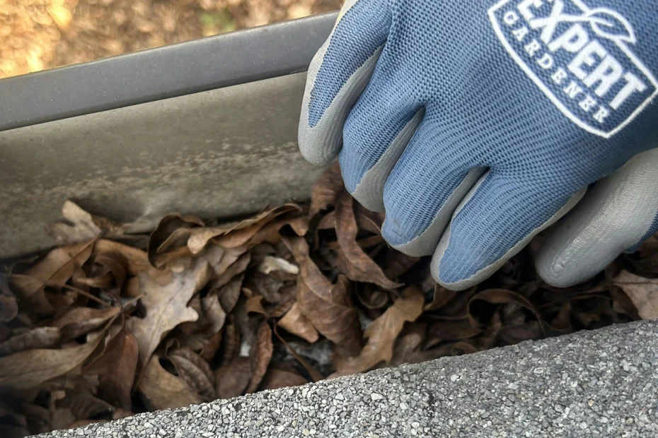 Gutter Cleaning Chesnee