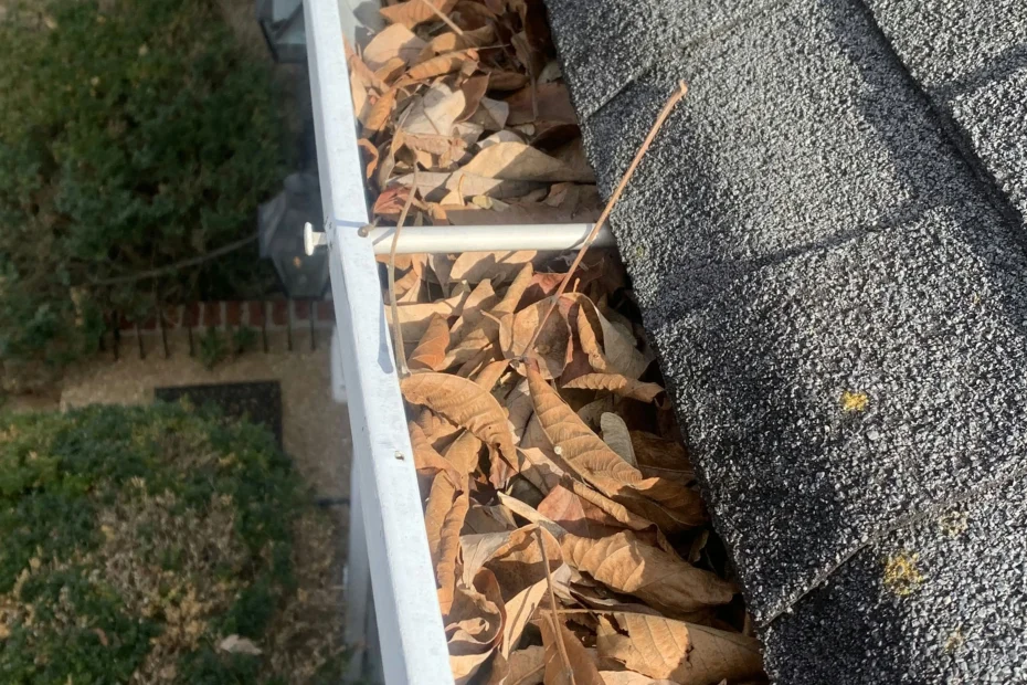 Gutter Cleaning Chesnee