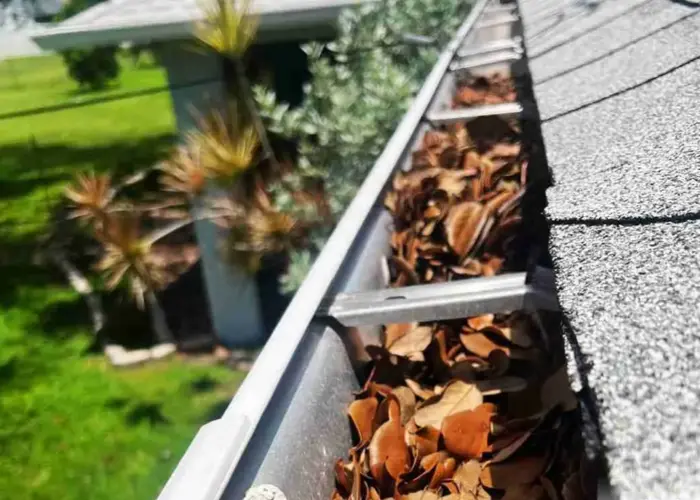 Gutter Cleaning Chesnee home page